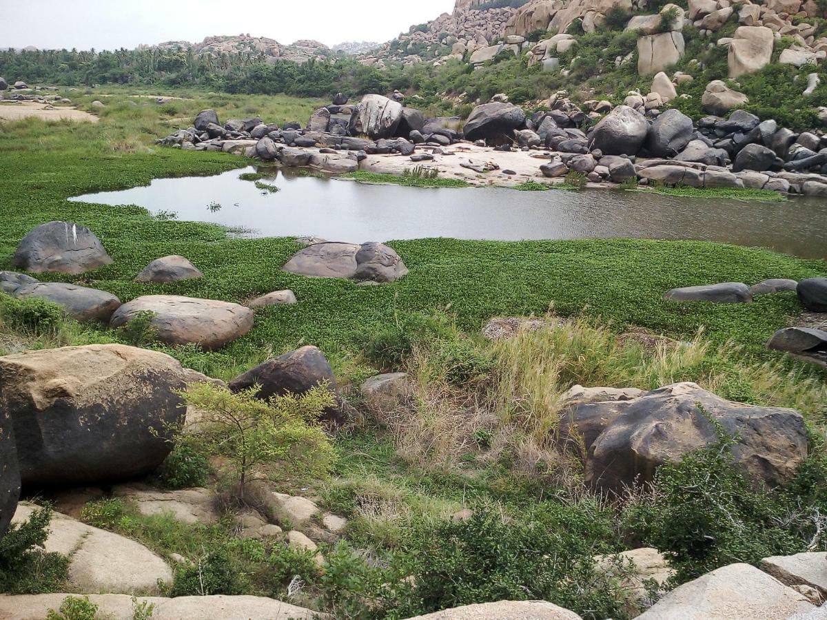 Riverside Homestay Hampi Eksteriør bilde